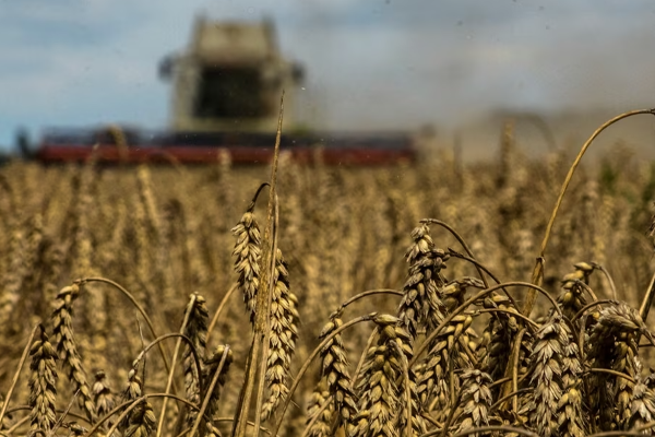 உக்ரைனின் தானிய இறக்குமதிக்கு தடை விதித்த முக்கிய நாடு! | The Main Country That Banned Ukraine Grain Imports