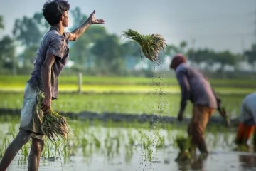 விவசாயிகளுக்கு மகிழ்ச்சித் தகவல்!