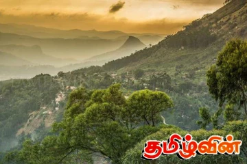 டித்வாவினால் இலங்கையின் சுற்றுச்சூழலுக்கு ஏற்பட்டுள்ள பாதிப்புகள் - சமர்ப்பிக்கப்பட்ட அறிக்கை