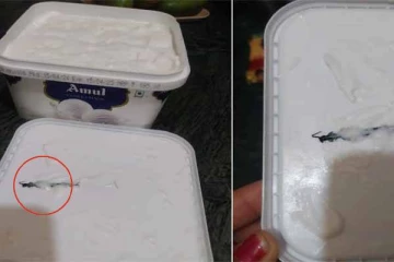 மகனுக்காக இணைய வழி மூலம் ஐஸ்கிரீம் வாங்கிய தாய்க்கு காத்திருந்த அதிர்ச்சி