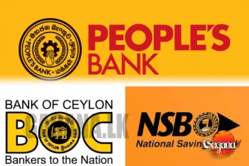 ආණ්ඩුව රාජ්‍ය බැංකු පද්ධතිය විකුණන්න හදනවා මේ ආණ්ඩුව හුදෙක් රූකඩයක් විතරයි - ගයන්ත