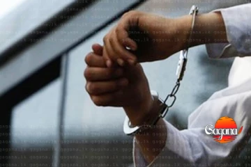 නිධන් හාරන්න ගිය සිවිල් ආරක්ෂක හිටපු නියාමක-නියාමකවරියක් ඇතුළු 4ක් අත්අඩංගුවේ