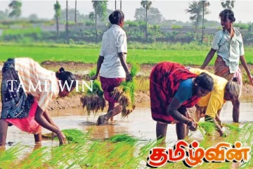 விவசாய உற்பத்திப் பொருட்களுக்கு 10 சதவீத கழிவு அறவிடப்படுவது தொடர்பான கள ஆய்வு