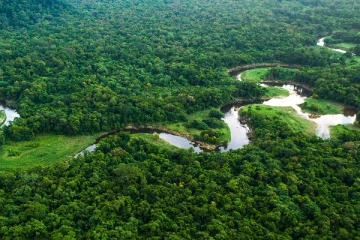 சிறுநீரை குடித்து உயிர் வாழ்ந்த நபர்! அமேசன் காட்டில் சம்பவம்