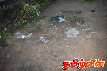 கந்தளாய் பேராறு அணைக்கட்டு பகுதியில் யானையின் அட்டகாசம்