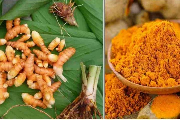 பச்சை மஞ்சளின் விலையில் ஏற்பட்டுள்ள மாற்றம்