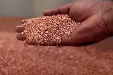 தங்கத்திற்கு டஃப் கொடுக்கும் செம்பு - எங்கெல்லாம் உற்பத்தியாகுது தெரியுமா?