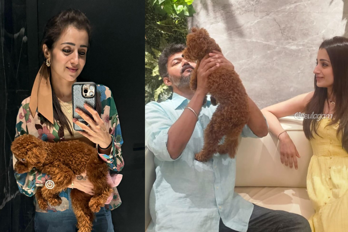 திரிஷா பற்றிய முக்கிய ரகசியத்தை போட்டுடைத்த விஷ்ணு விஷால்! கோபப்பட மாட்டார் என நம்புறேன்.. | Vishnu Vishal Reveal A Secret About Trisha S Dog
