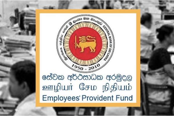 EPF பணத்தை ஓய்வூதியமாக பெறும் புதிய திட்டம்: வெளியாகியுள்ள தகவல் | Epf Money Can Be Received As Pension New Scheme