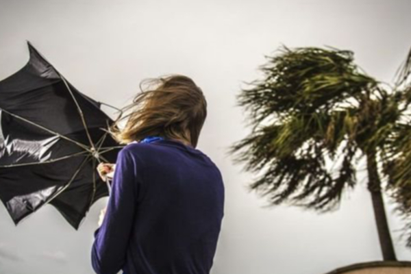 மினுவாங்கொடயில் சுழற்றி அடித்த காற்றால் 30 வீடுகள் சேதம் | 30 Houses Damaged By The Strong Winds Minuwangoda மினுவாங்கொடயில் சுழற்றி அடித்த காற்றால் 30 வீடுகள் சேதம் | 30 Houses Damaged By The Strong Winds Minuwangoda