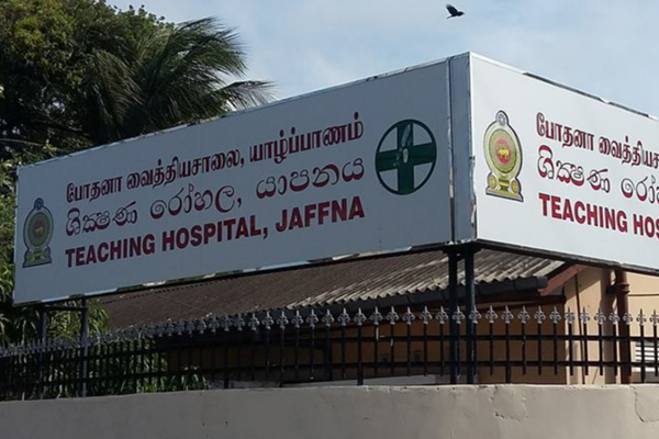 யாழில் சைக்கிளில் சென்ற முதியவர் திடீரென மயங்கி விழுந்து உயிரிழப்பு | Elderly Man Dies Collapsing While Riding Bicycle