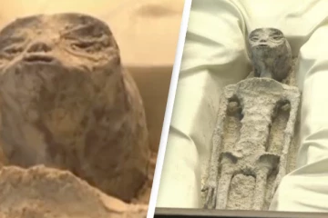 வேற்று கிரக உலகின் முதல் காட்சி: மெக்சிகோவில் குவியும் பார்வையாளர்கள்