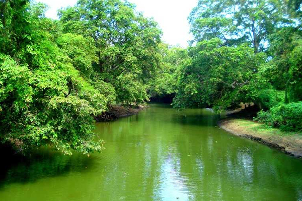 நால்வர் நீரில் மூழ்கி மாயம் | The Four Drowned நால்வர் நீரில் மூழ்கி மாயம் | The Four Drowned