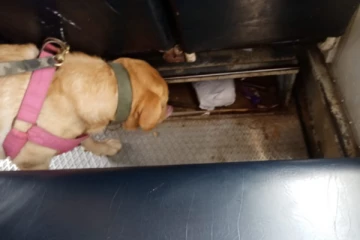 தனியார் பேருந்திலிருந்து போதைப்பொருள் மீட்பு(Photos)