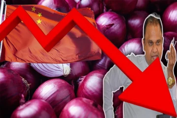 சீனாவில் இருந்து இறக்குமதி செய்யப்படவுள்ள வெங்காயங்கள்!