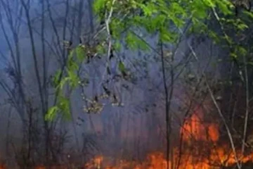 රෑ මැද ඇල්ල හොල්ලපු මහා ගින්න- මහමෙව්නාව ආරාමය අනූනමයෙන් බේරෙයි