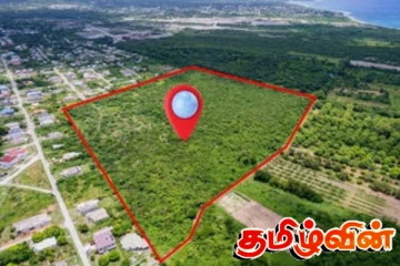 இலங்கையில் காணிகளை வைத்திருப்போருக்கான அறிவிப்பு - அரசாங்கத்தின் அதிரடி திட்டம்