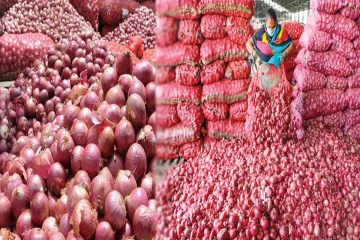 பெரிய வெங்காயத்தின் விலை சடுதியாக உயர்வு
