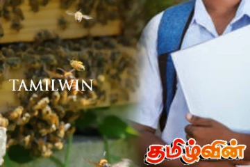 குளவி கொட்டுக்கு இலக்கான பாடசாலை மாணவன் பலி