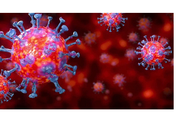 இந்தியாவில் கடந்த ஒரே நாளில் 6,563 பேருக்கு கொரோனா தொற்று - வெளியான தகவல் - தமிழ்நாடு