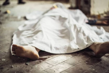 විදුලිසැර වැදී පුද්ගලයන් දෙදෙනෙකු මරුට