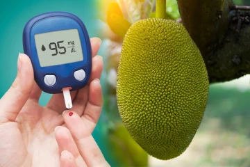 தைராய்டு நீரிழிவு நோயாளிகள் பலாப்பழத்தை எப்படி சாப்பிட வேண்டும்? நன்மை தீமைகள்;