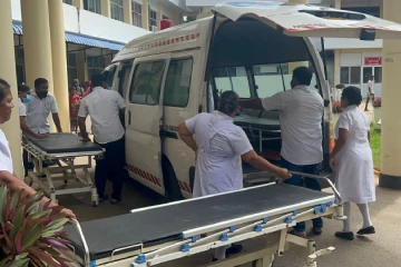 பொலன்னறுவையில் குளவிக்கொட்டுக்கு இலக்காகி 30 பேர் மருத்துவமனையில் அனுமதி