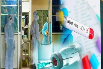 நிபா வைரசிற்கான முதல் தடுப்பூசி சோதனை!