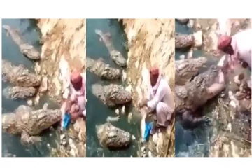 நெருங்கி வந்த ராட்சத முதலைகளின் வாயில் உணவை போட்ட நபர் - திக்... திக்... வீடியோ!