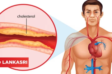 கொலஸ்ட்ராலை வேகமாக குறைக்கனுமா? இவற்றை தினமும் எடுத்து கொண்டாலே போதும்