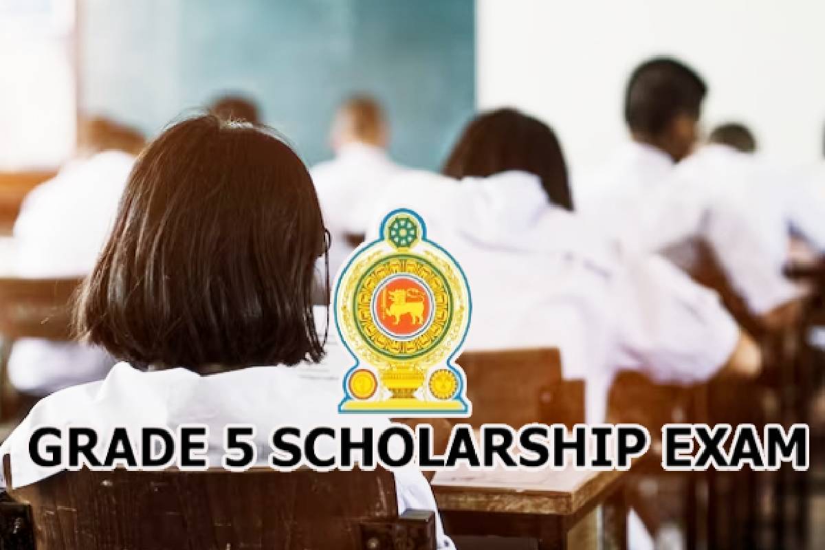 பரீட்சைகளுக்கான கால அட்டவணையில் மாற்றம் இல்லை: ஆணையாளர் நாயகம் | No Change In The Timetable For Examinations பரீட்சைகளுக்கான கால அட்டவணையில் மாற்றம் இல்லை: ஆணையாளர் நாயகம் | No Change In The Timetable For Examinations