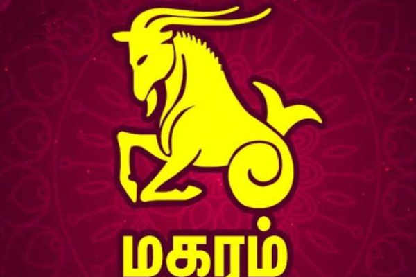 சூரியன் பெயர்ச்சியால் திடீரென அதிர்ஷ்டத்தை பெறப்போகும் மூன்று ராசிக்காரர்கள்! | Suriyan Peyarchi Budhaditya Yogam 3 Zodiac Signs
