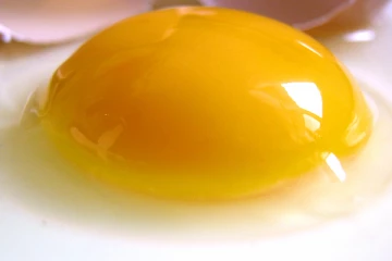 வெள்ளைக்கரு சாப்பிடுவதால் ஏற்படும் இழப்புகள்... உஷார்! இந்த பிழையை செய்யாதீர்கள்