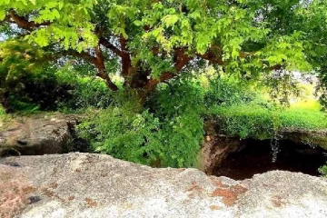 யாழில் சங்கிலியன் மன்னன் பதுங்கியிருந்த இரகசிய குகை!