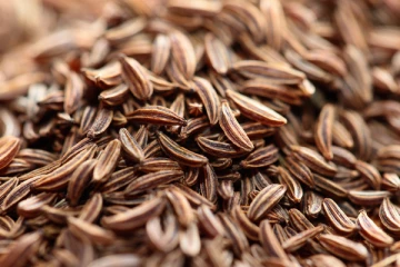 நீரிழிவு நோயாளி சீரகம் அதிகமா சேர்த்துகிட்டா ஆபத்து! யார் யாரெல்லாம் தொடக் கூட கூடாது?