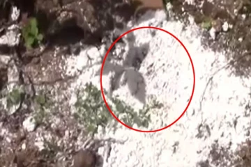 வானில் இருந்து விழுந்த மர்ம பொருள் - தென்னிலங்கையில் ஏற்பட்ட பரபரப்பு