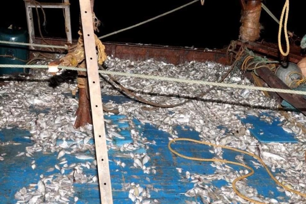 இலங்கை கடற்பரப்பில் 6 இந்திய கடற்றொழிலாளர்கள் கைது(Photos) | 6 Indian Fishermen Arrested For Illegal Fishing