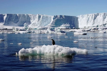 அதிவேகமாக உருகும் அண்டார்டிகா... உலகுக்கே பேரழிவு; எச்சரிக்கும் விஞ்ஞானிகள்