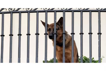 வெள்ளை மாளிகையிலிருந்து வெளியேற்றப்பட்ட அமெரிக்க ஜனாதிபதியின் நாய்