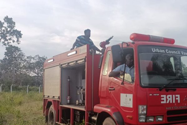 வவுனியா மாமடு பகுதியில் மளமளவென பரவிய காட்டுத் தீ! | A Wild Fire Spread In Vavuniya Mamadu Area