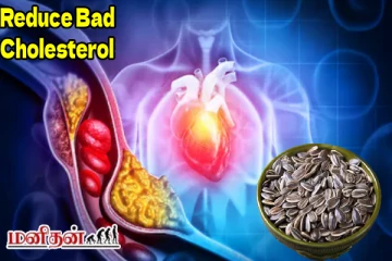 நரம்புகளில் படிந்துள்ள கெட்ட கொழுப்பை வெளியேற்றணுமா? இந்த பூவின் விதை போதும்