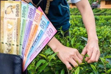 விவசாயிகளுக்கு மகிழ்ச்சி தகவல் : இரட்டிப்பாகும் மானியம்