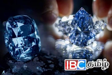 ஏலத்திற்கு வரும் உலகின் மிக அரிதான நீலவைரம்