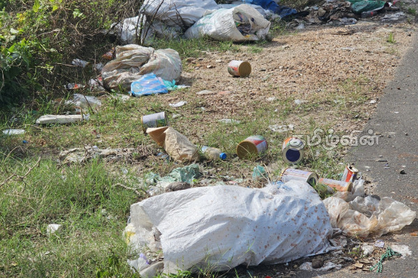 யாழ். காக்கைதீவு சந்தைக்கு அருகில் வீசப்பட்ட மாட்டின் தலை உட்பட கழிவுப்பொருட்கள் | Jaffna Garbage Dumped Near Kakai Island Market