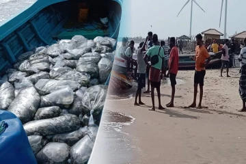 இந்தியாவிலிருந்து சட்டவிரோதமாக கடலட்டை கத்திய 26 பேர் கைது - கடற்படையினரின் அதிரடி நடவடிக்கை