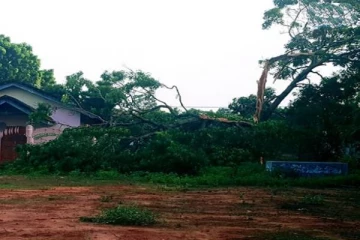 கிளிநொச்சியில் மின்னல் தாக்கியத்தில் கட்டிடம் மேல் விழுந்த வேம்பு!