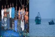 எல்லைதாண்டிய மீன்பிடி : 09 இந்திய கடற்றொழிலாளர்கள் படகுடன் கைது