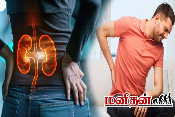 இந்த இடத்துல வலி வந்தால் உடனே சோதனை பண்ணுங்க- சிறுநீரகம் ஆபத்து வாய்ப்பு அதிகம்! | Kidney Damage Symptoms Pain In The Body