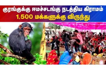 குரங்குக்கு ஈமச்சடங்கு நடத்திய கிராமம் - வீடியோ செய்தி