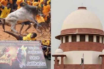 சாதி மத வேறுபாடுகளுக்கு அப்பாற்பட்டது ஜல்லிக்கட்டு : உச்சநீதிமன்றத்தில் தமிழக அரசு வாதம்